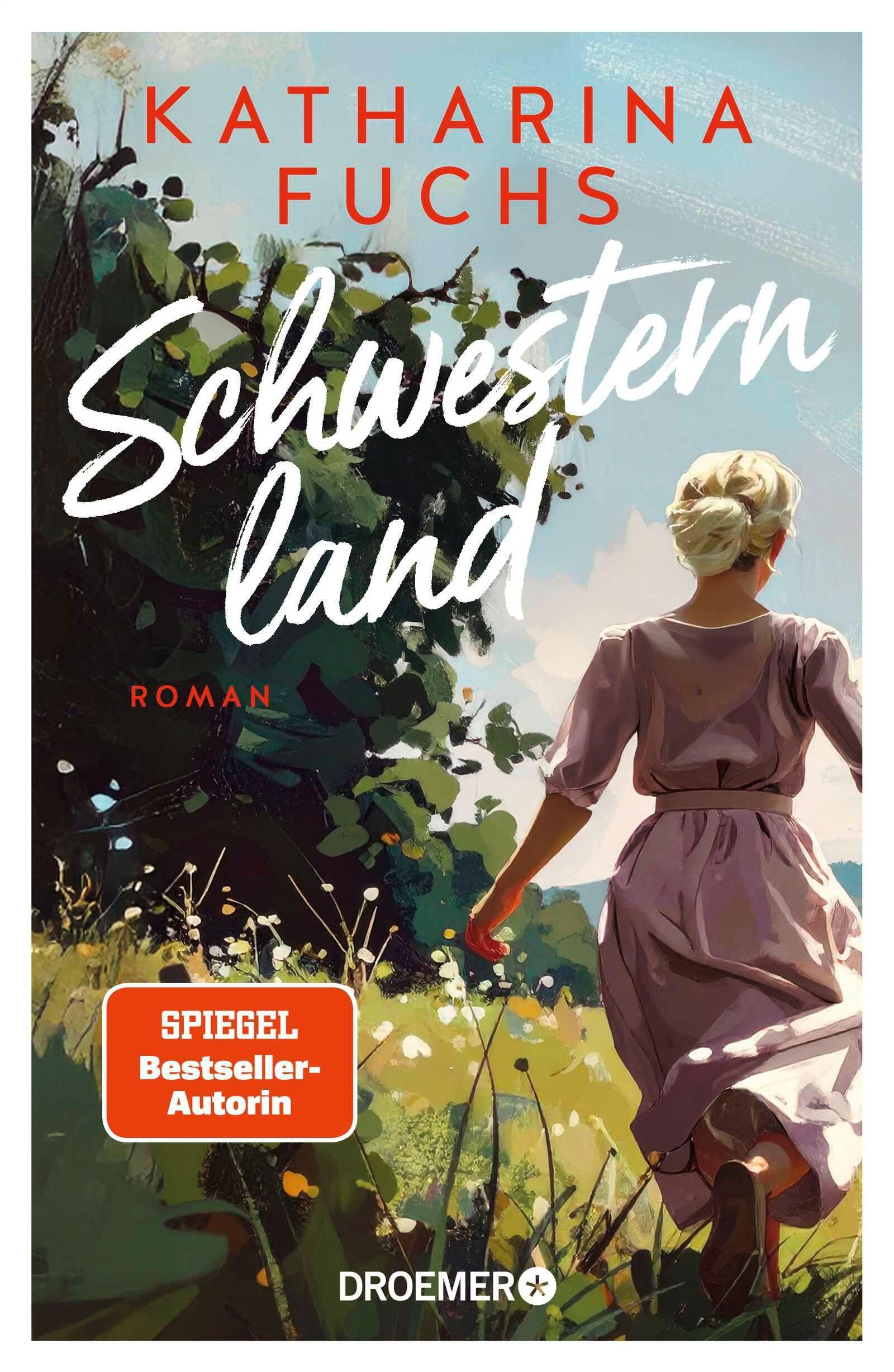 Vorderes Coverbild Schwesternland