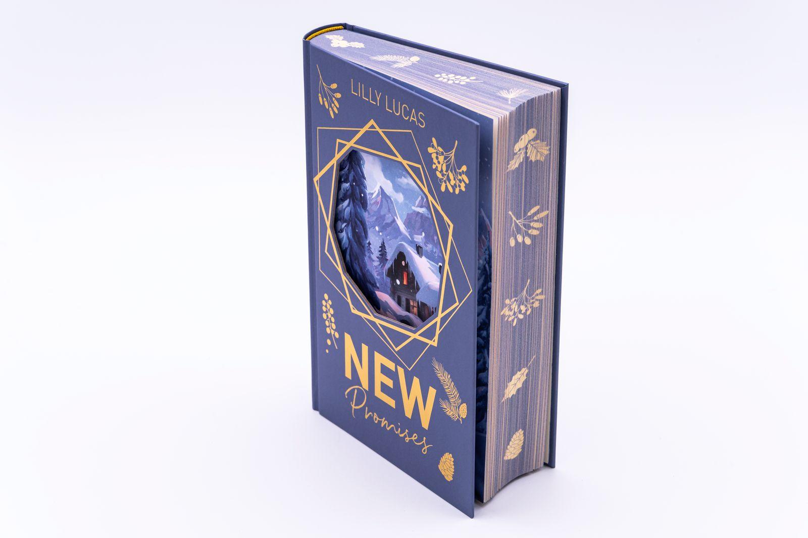 Beispielinhalt (Bild) New Promises