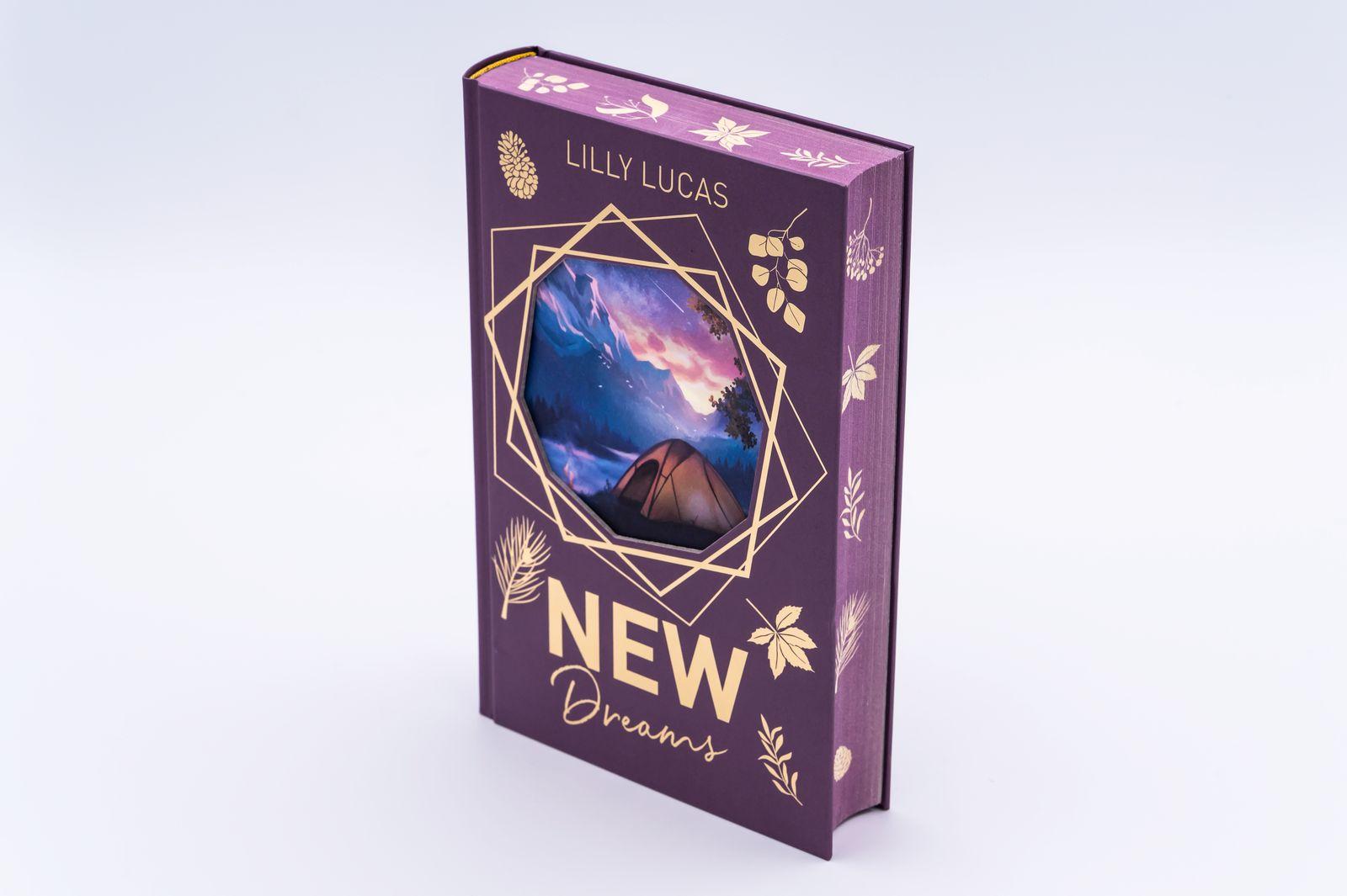 Beispielinhalt (Bild) New Dreams