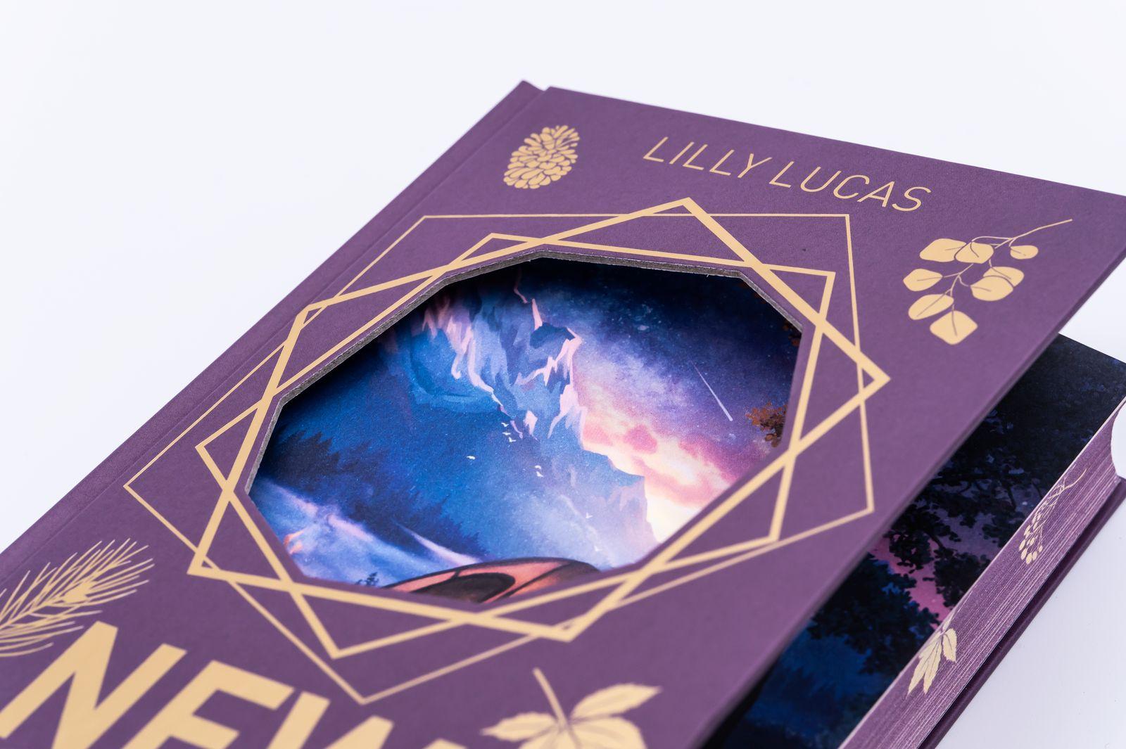 Beispielinhalt (Bild) New Dreams