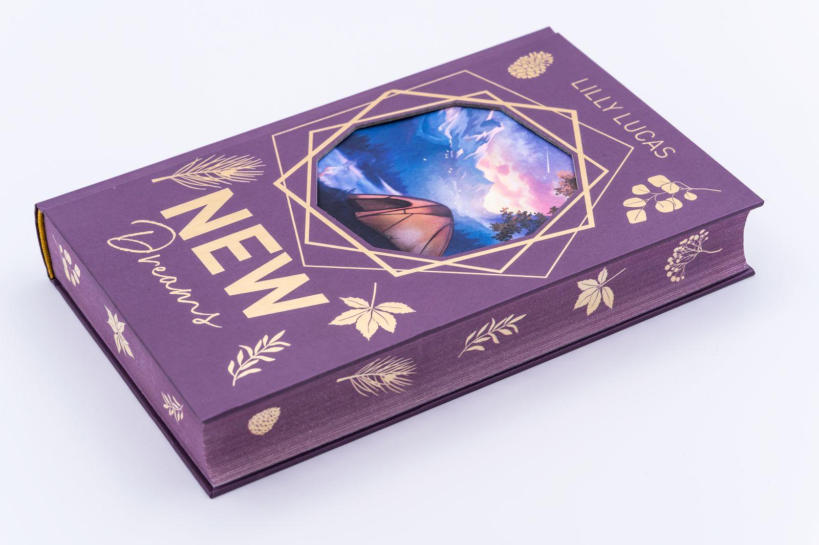 Beispielinhalt (Bild) New Dreams