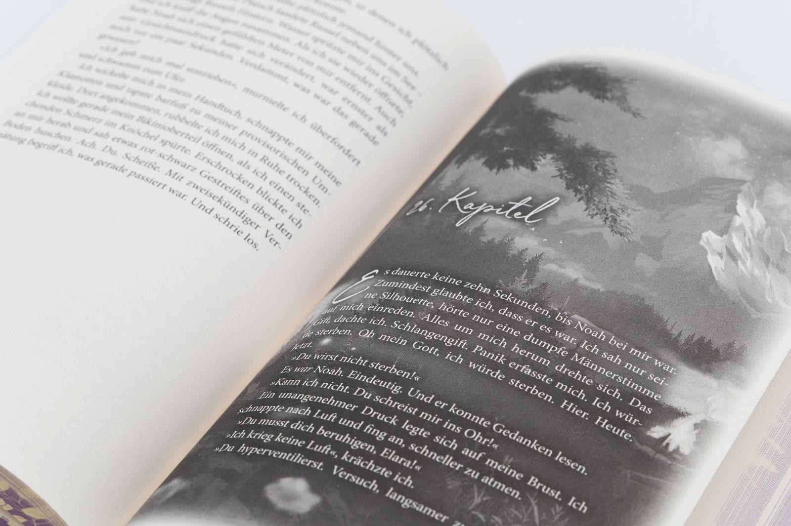 Beispielinhalt (Bild) New Dreams