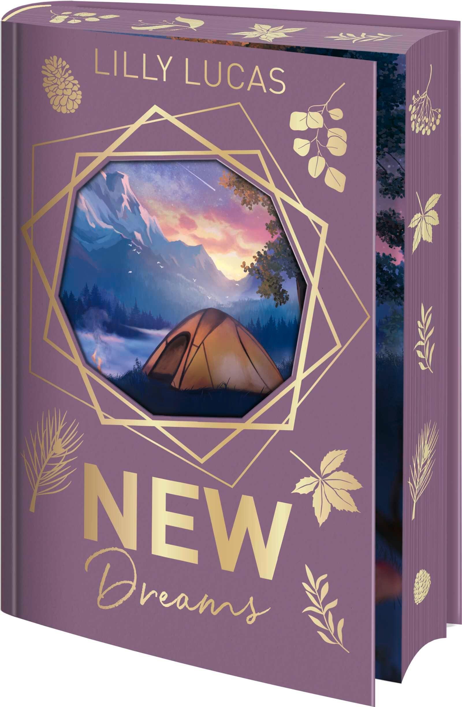 Vorderes Coverbild New Dreams