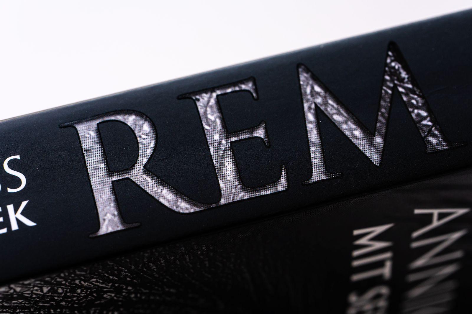 Beispielinhalt (Bild) REM