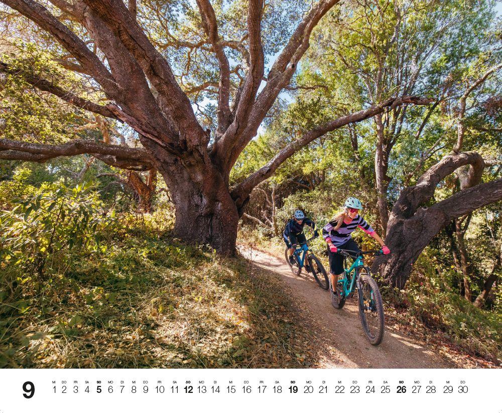 Beispielinhalt (Bild) Bike 2027