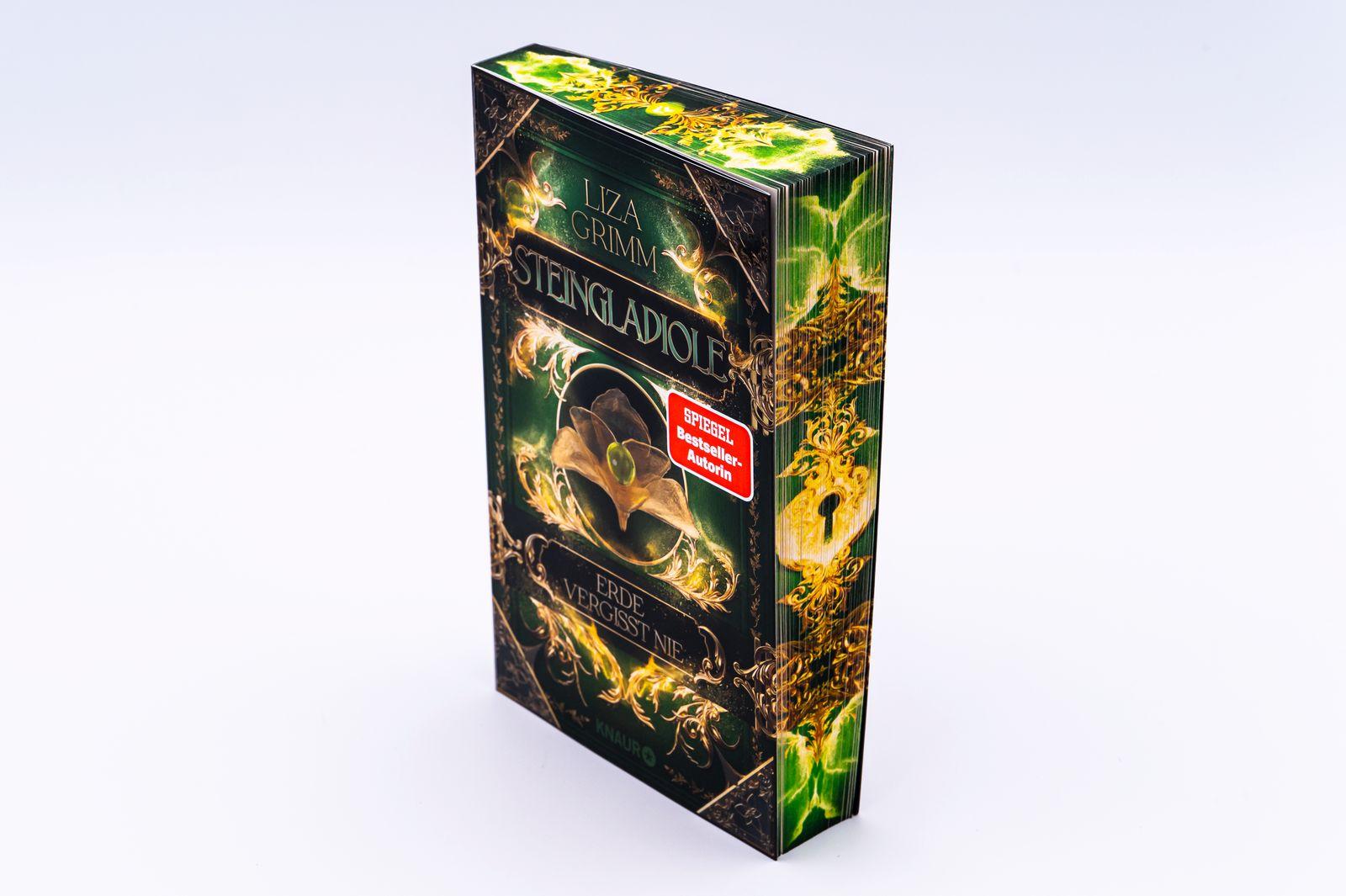 Beispielinhalt (Bild) Steingladiole. Erde vergisst nie