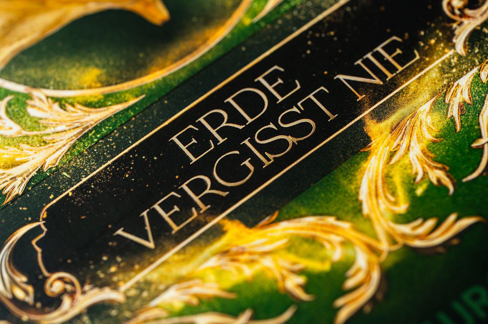 Beispielinhalt (Bild) Steingladiole. Erde vergisst nie