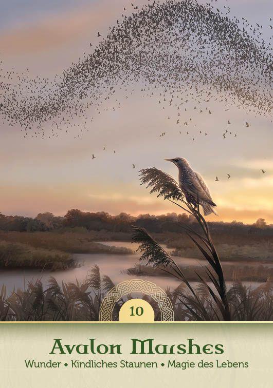 Beispielinhalt (Bild) Orakel-Kartenset: Avalon Orakel | Wandle auf den Pfaden der Priesterinnen und verbinde dich mit den transformierenden Energien keltischer Kraftorte