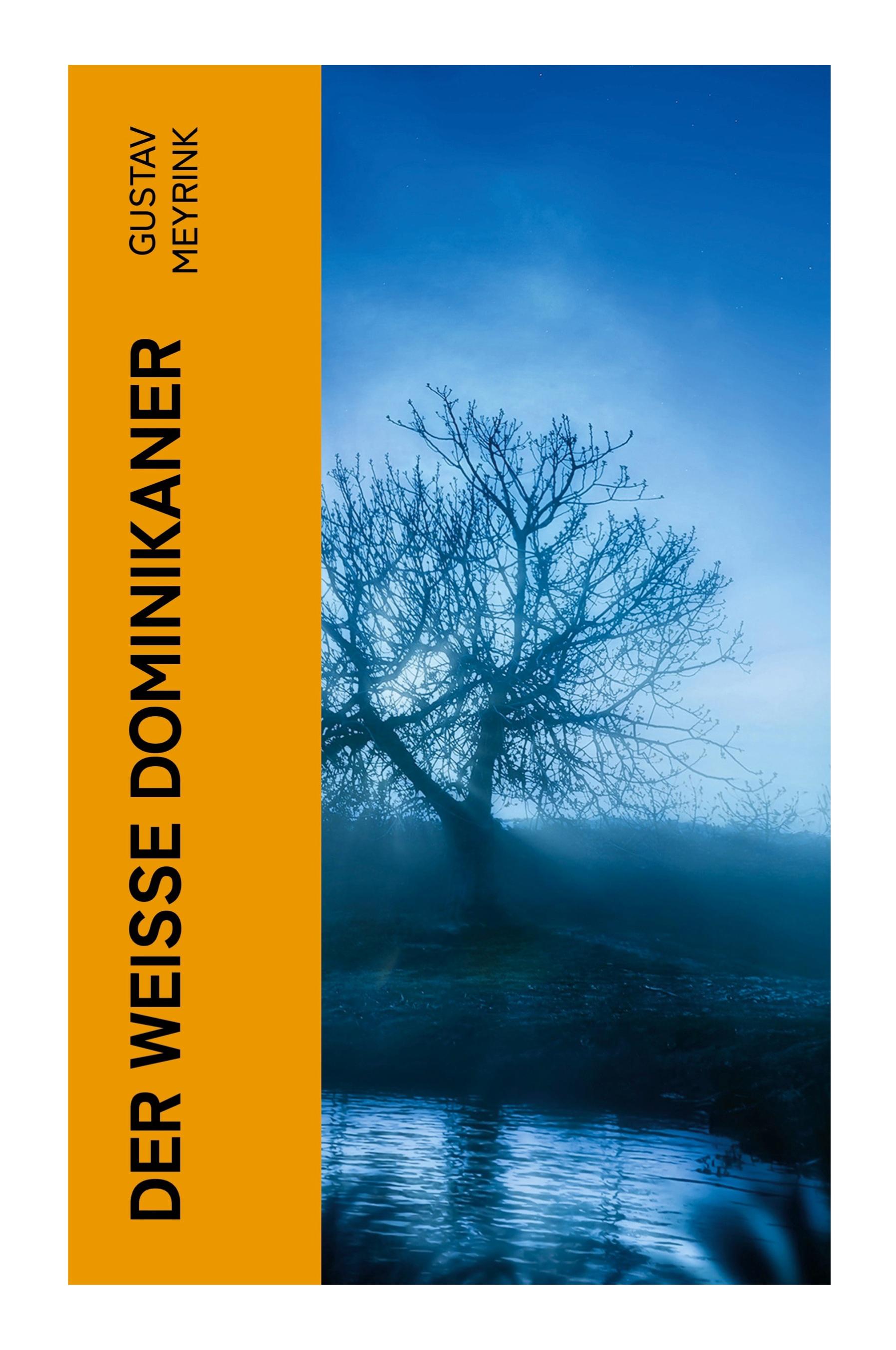 Vorderes Coverbild Der Weisse Dominikaner