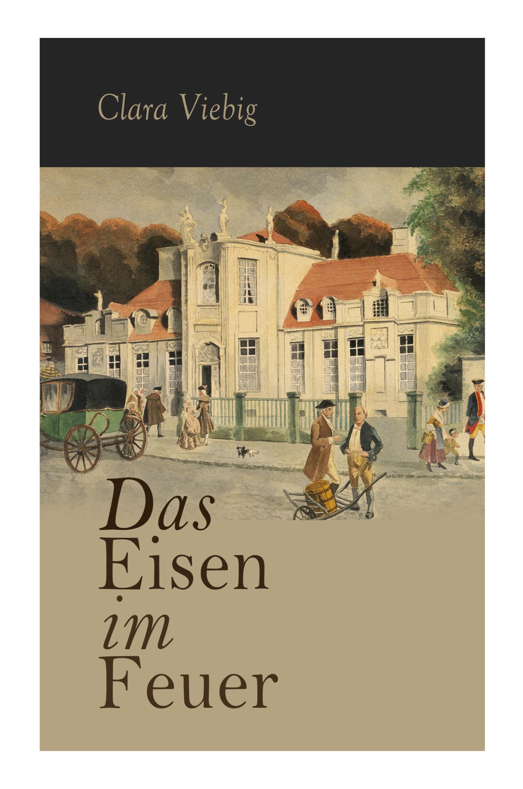 Vorderes Coverbild Das Eisen im Feuer