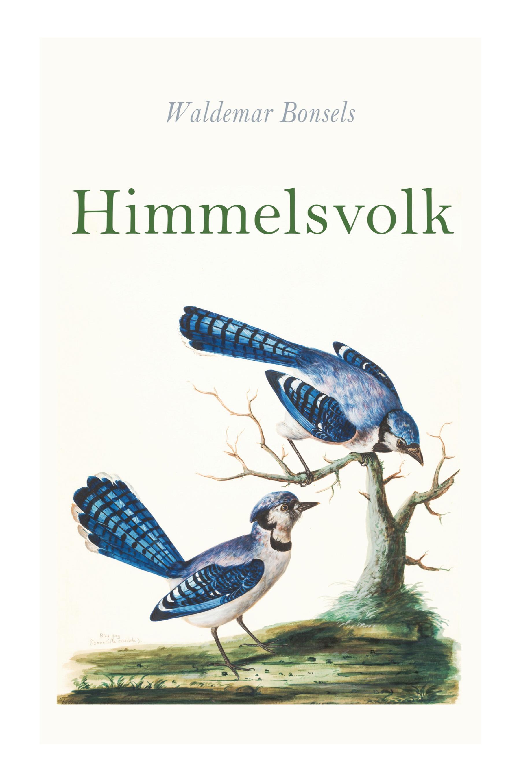 Vorderes Coverbild Himmelsvolk