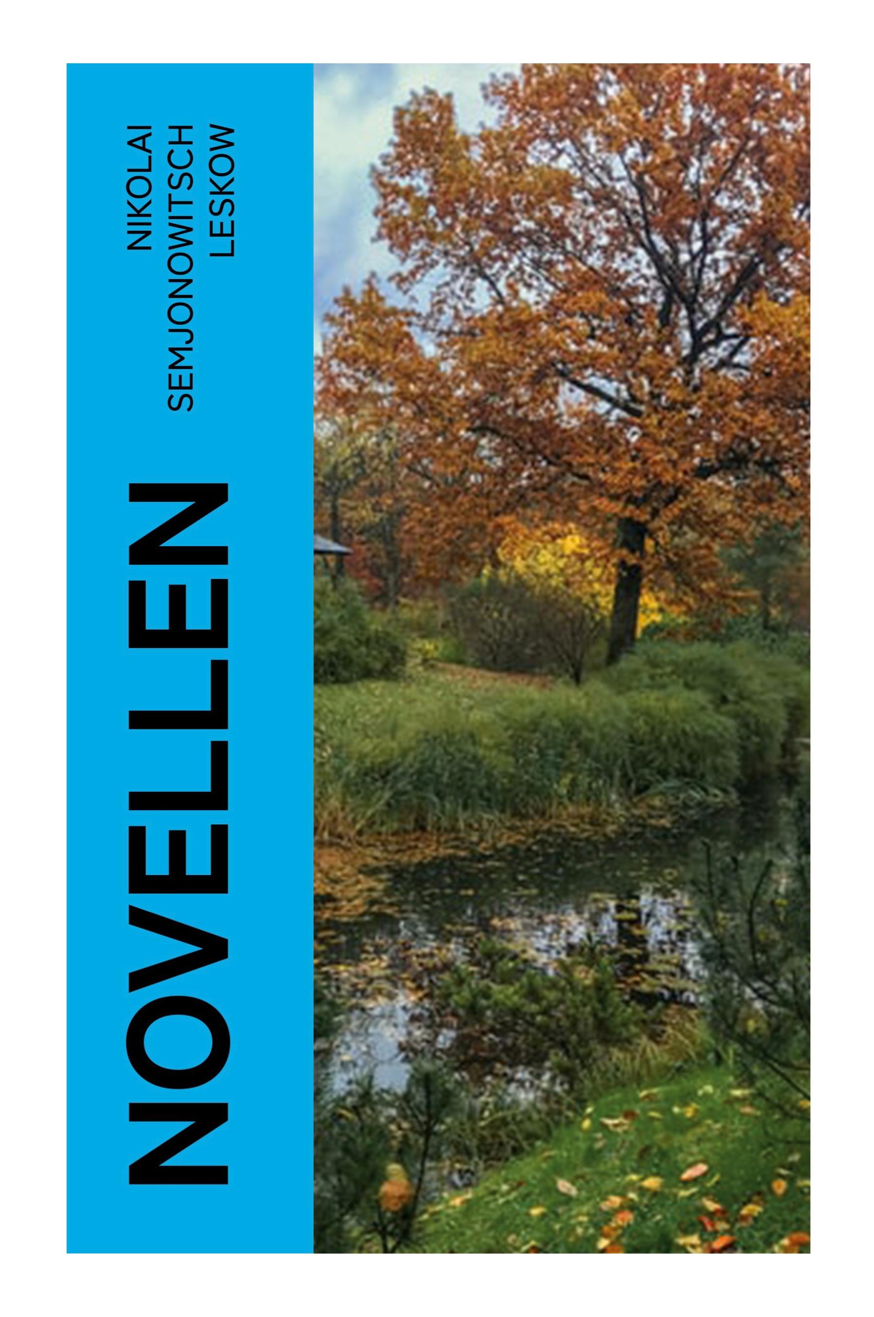 Vorderes Coverbild Novellen