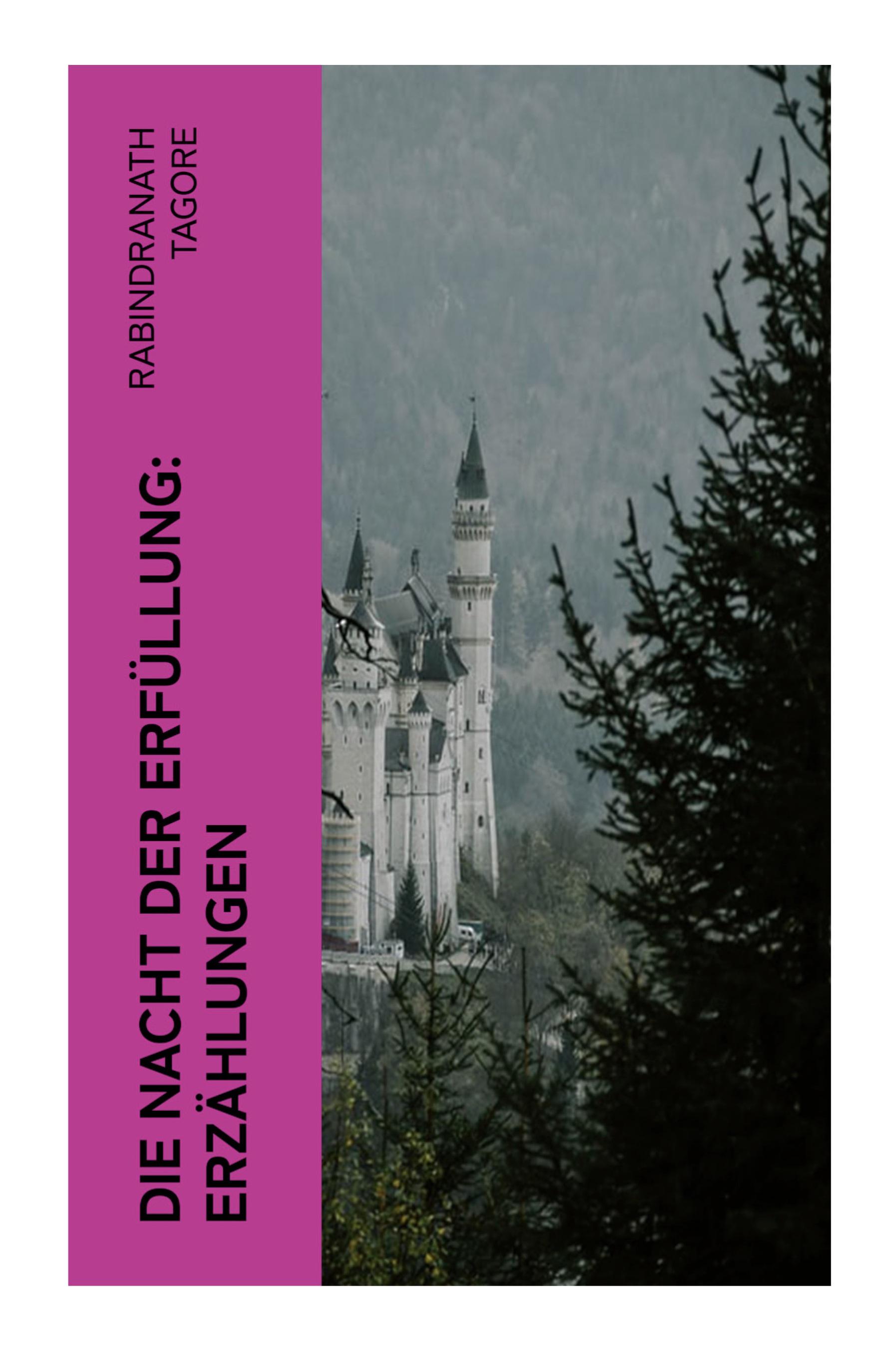 Vorderes Coverbild Die Nacht der Erfüllung: Erzählungen