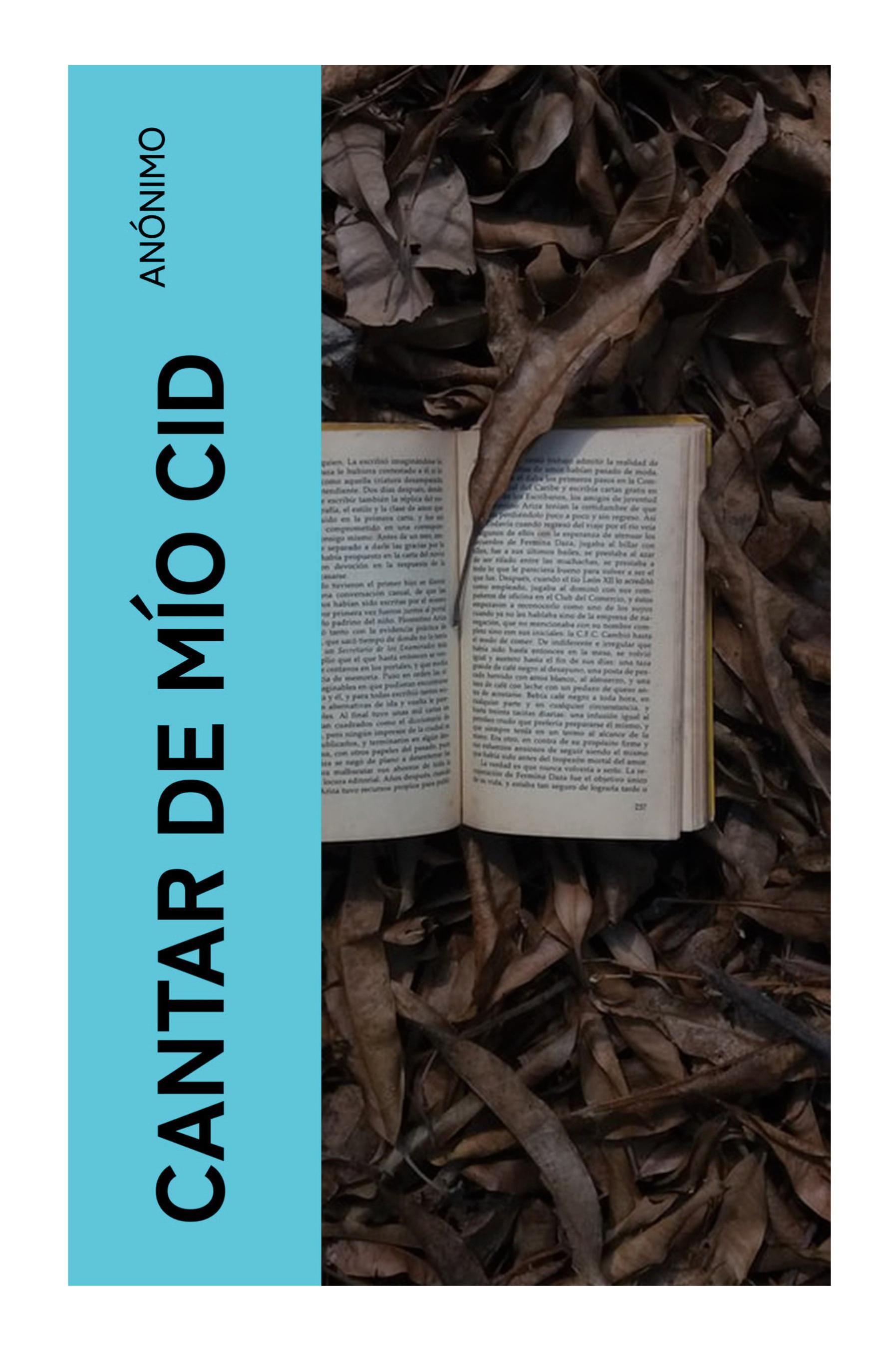 Vorderes Coverbild Cantar de mío Cid