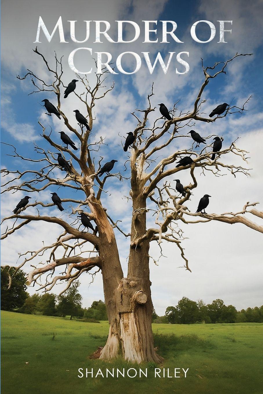 Vorderes Coverbild Murder of Crows
