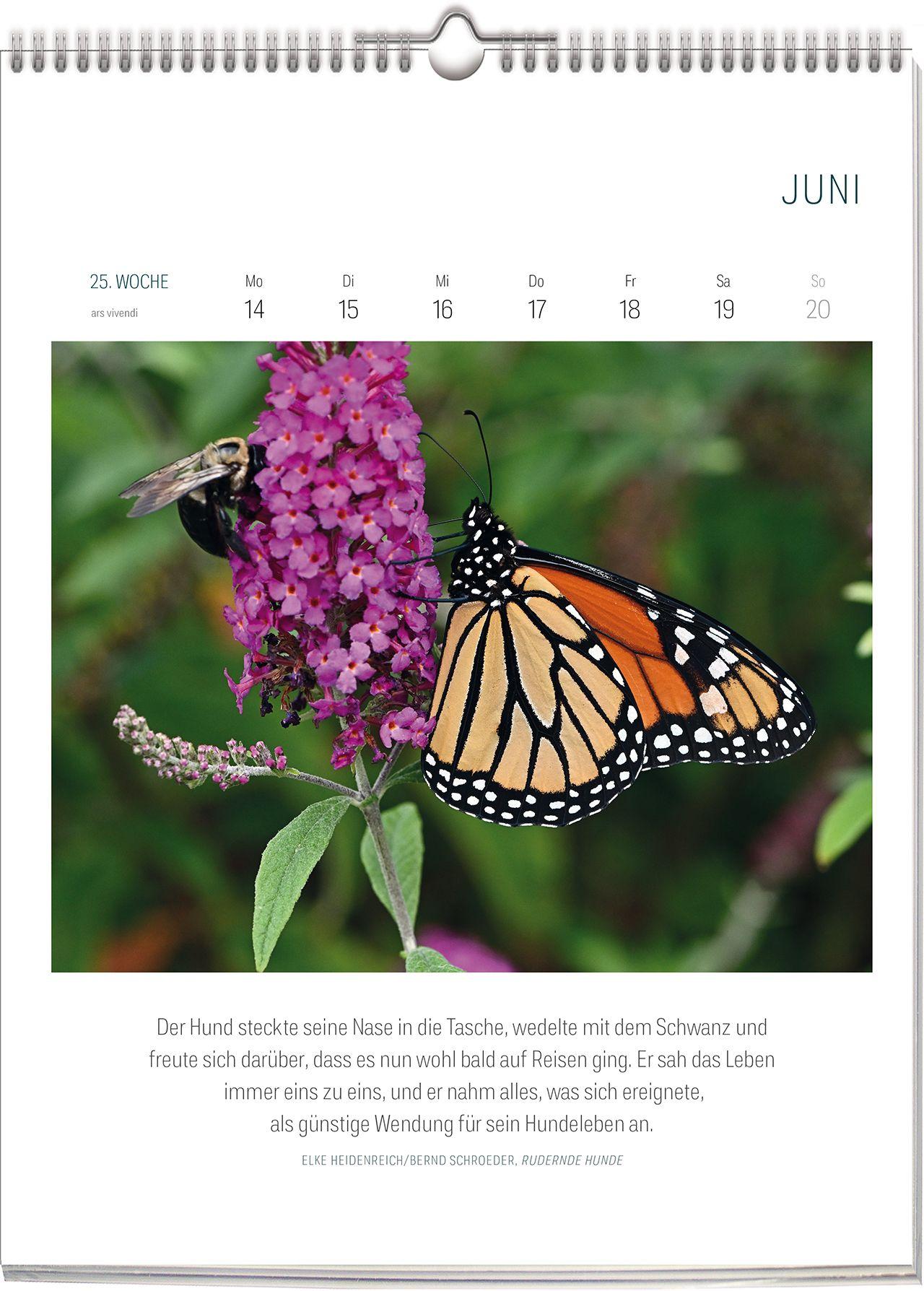 Beispielinhalt (Bild) Literarischer Kalender - Bienen & Schmetterlinge 2027