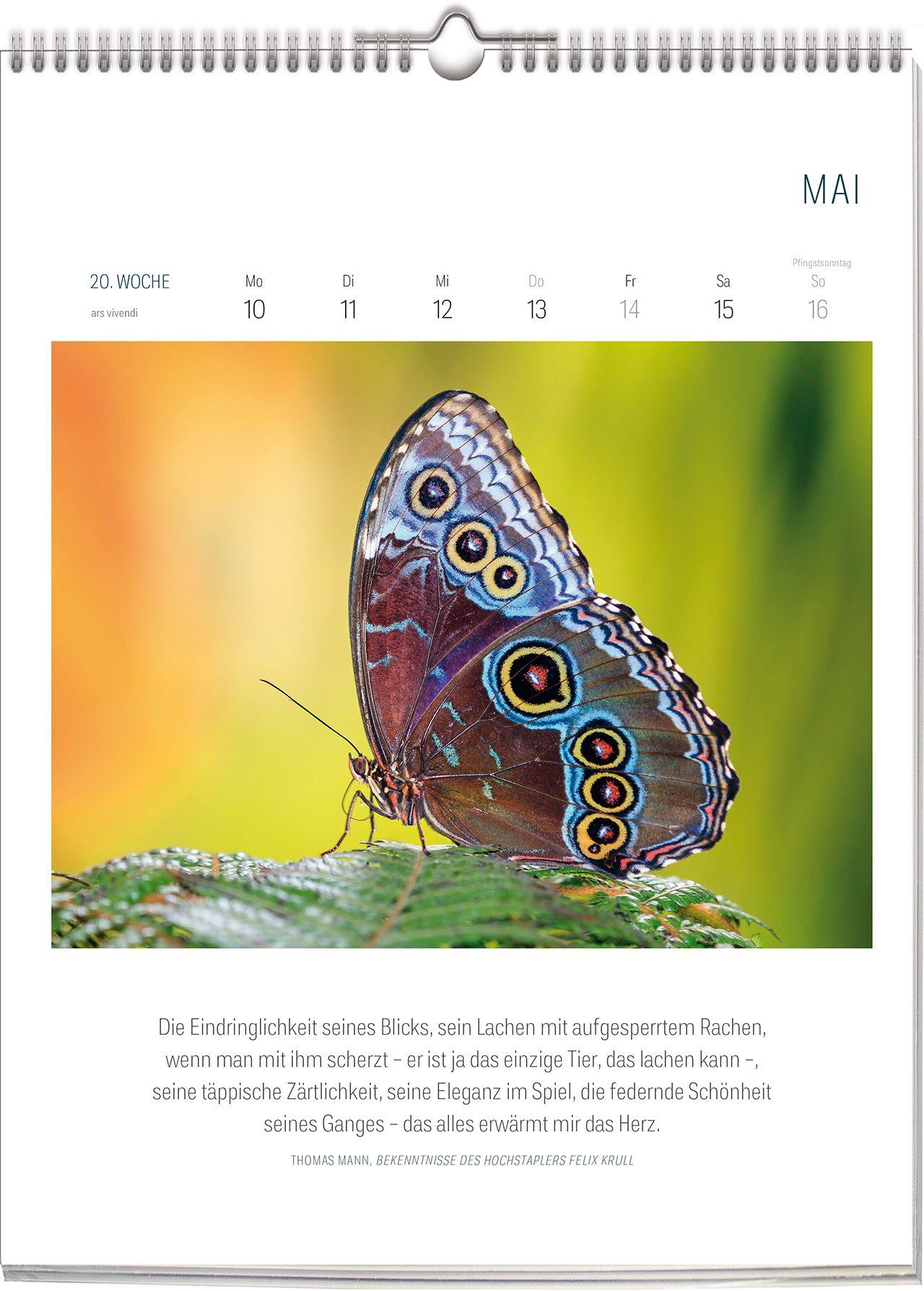 Beispielinhalt (Bild) Literarischer Kalender - Bienen & Schmetterlinge 2027