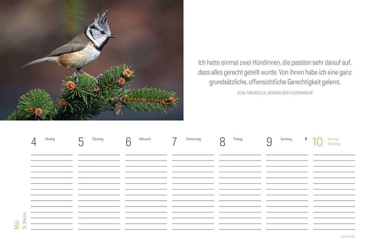 Beispielinhalt (Bild) Tischkalender Vogel 2027