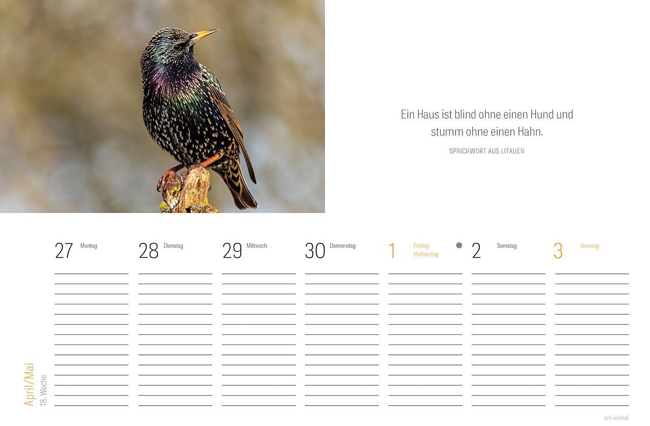 Beispielinhalt (Bild) Tischkalender Vogel 2027