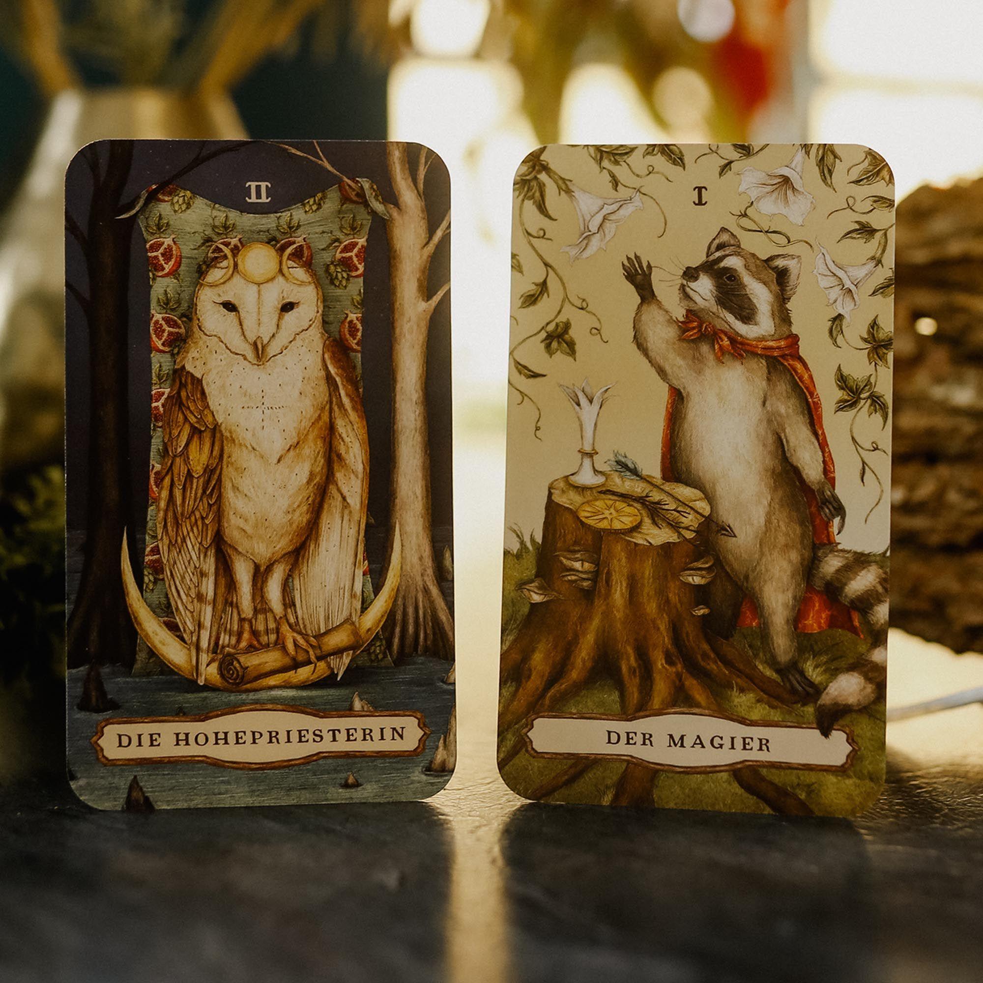 Beispielinhalt (Bild) Woodland Wardens Tarot - Set mit Booklet u. 78 Karten