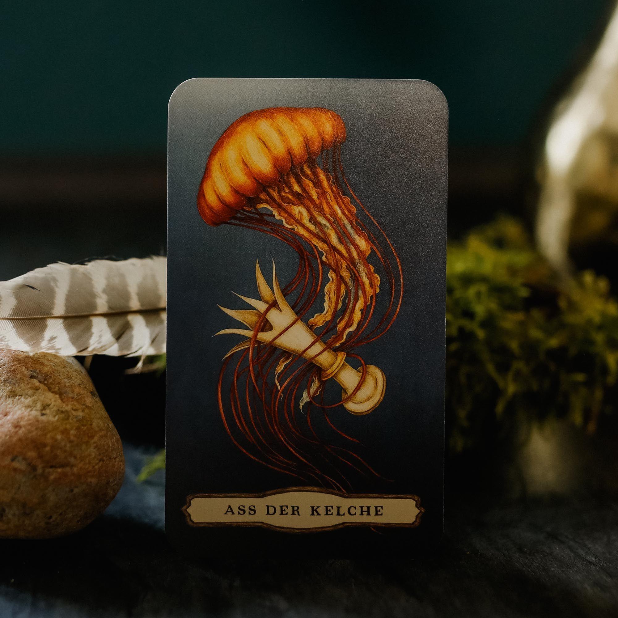 Beispielinhalt (Bild) Woodland Wardens Tarot - Set mit Booklet u. 78 Karten