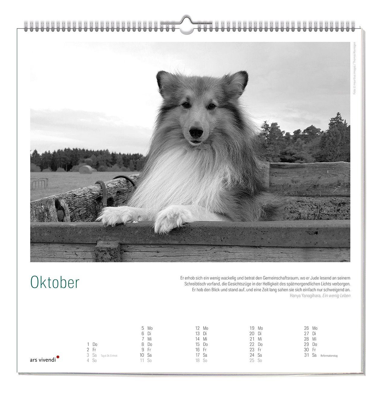 Beispielinhalt (Bild) Der literarische Hunde Kalender 2027