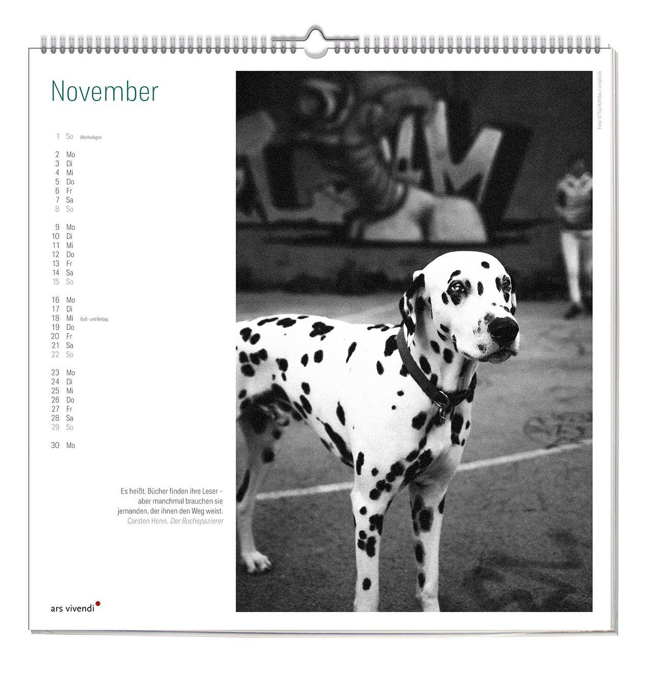 Beispielinhalt (Bild) Der literarische Hunde Kalender 2027