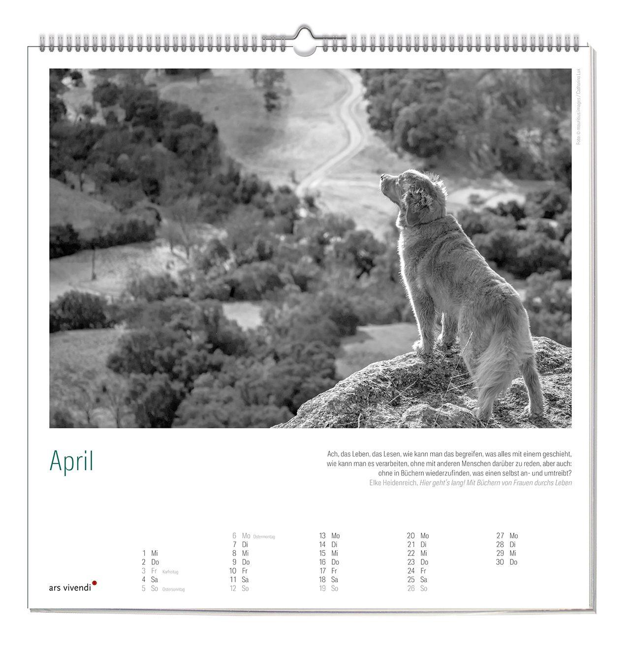 Beispielinhalt (Bild) Der literarische Hunde Kalender 2027