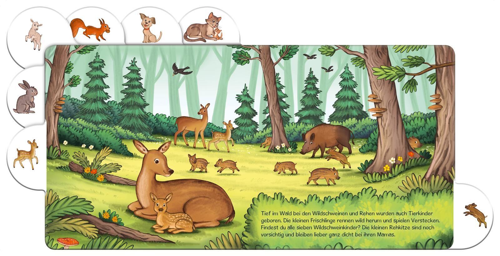 Beispielinhalt (Bild) Schau mal, die Tierkinder