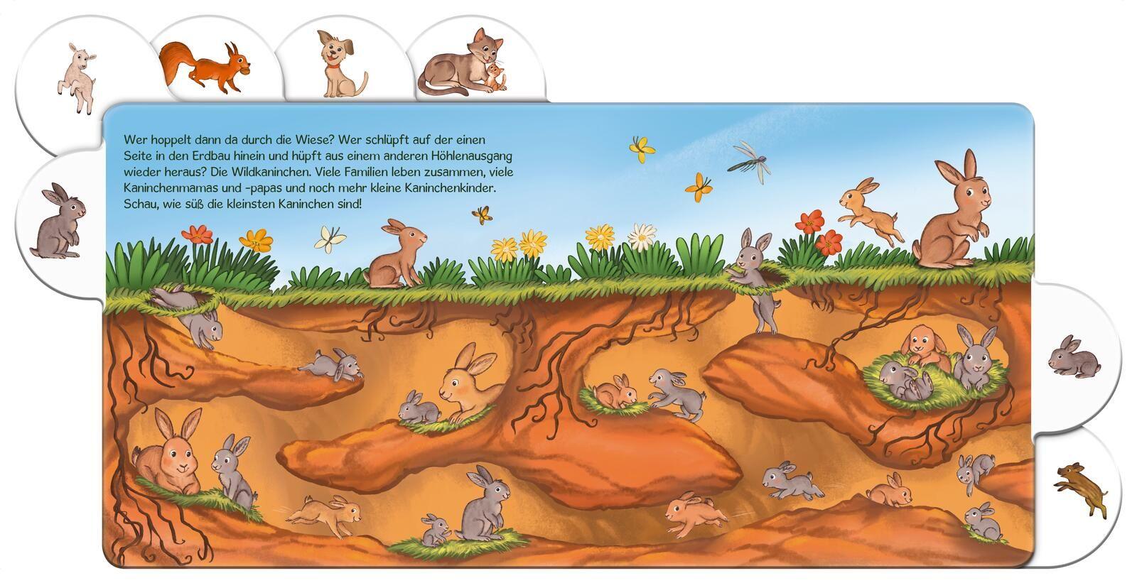 Beispielinhalt (Bild) Schau mal, die Tierkinder