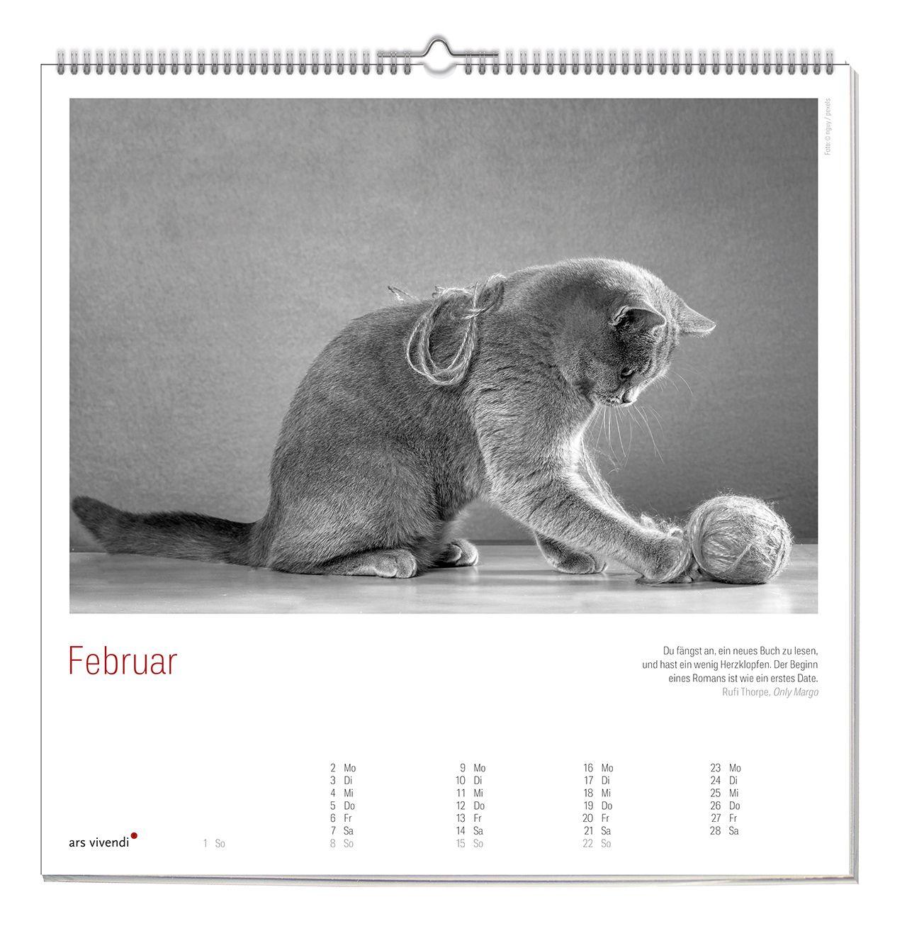 Beispielinhalt (Bild) Der literarische Katzen Kalender 2027