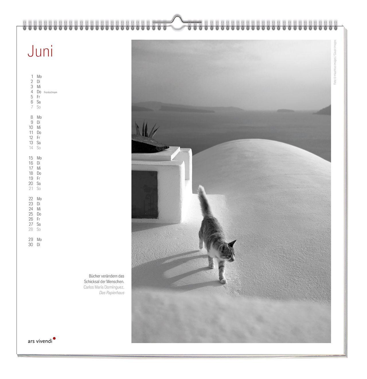 Beispielinhalt (Bild) Der literarische Katzen Kalender 2027