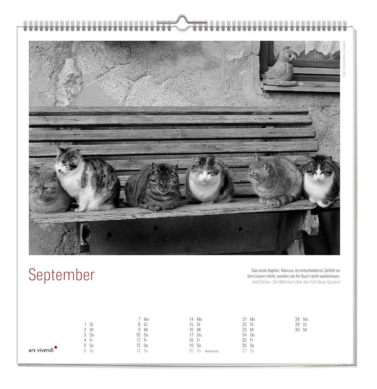 Beispielinhalt (Bild) Der literarische Katzen Kalender 2027