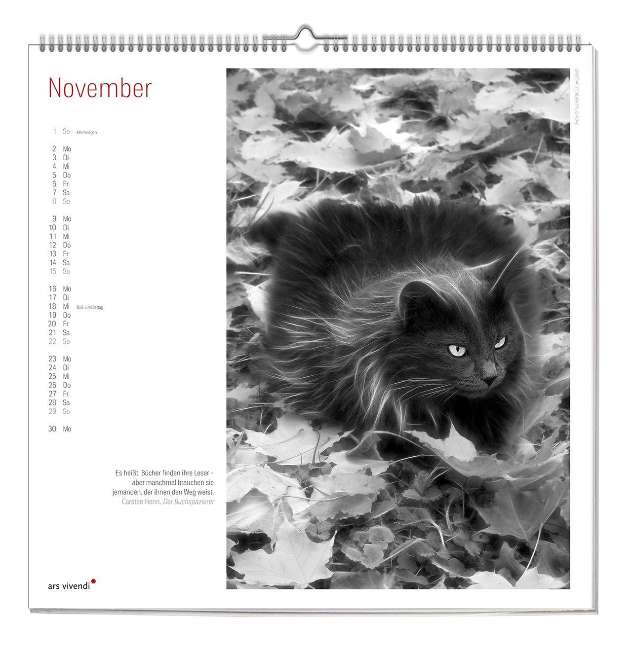 Beispielinhalt (Bild) Der literarische Katzen Kalender 2027