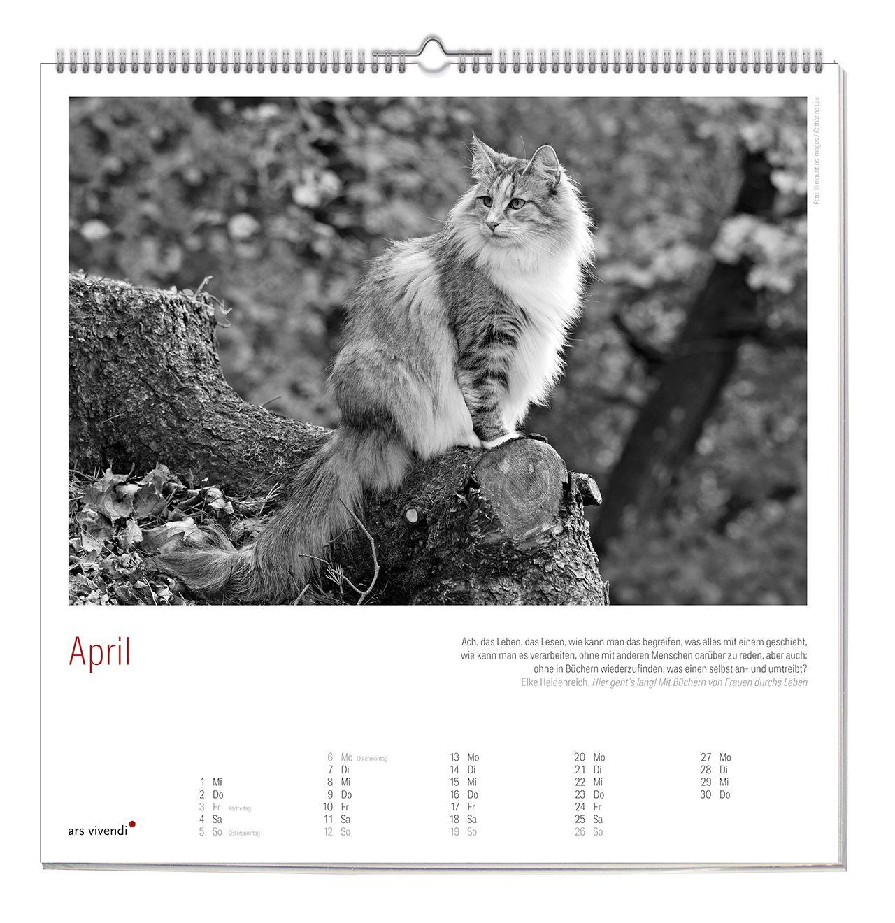Beispielinhalt (Bild) Der literarische Katzen Kalender 2027