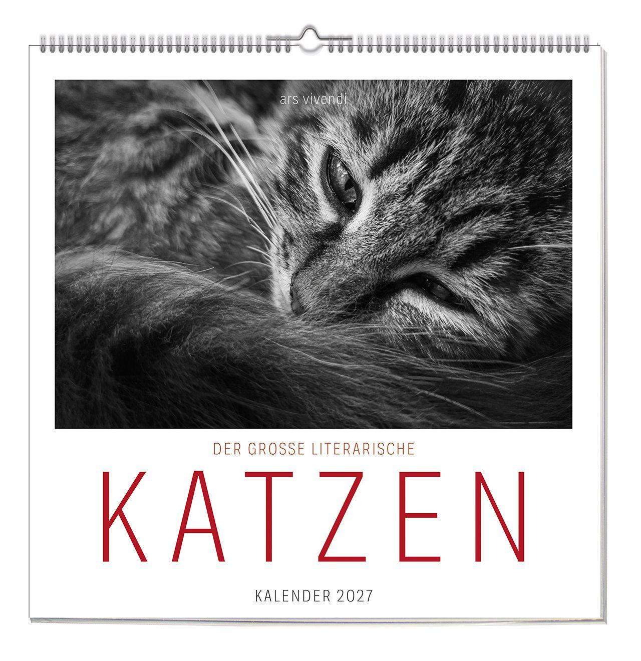 Vorderes Coverbild Der literarische Katzen Kalender 2027