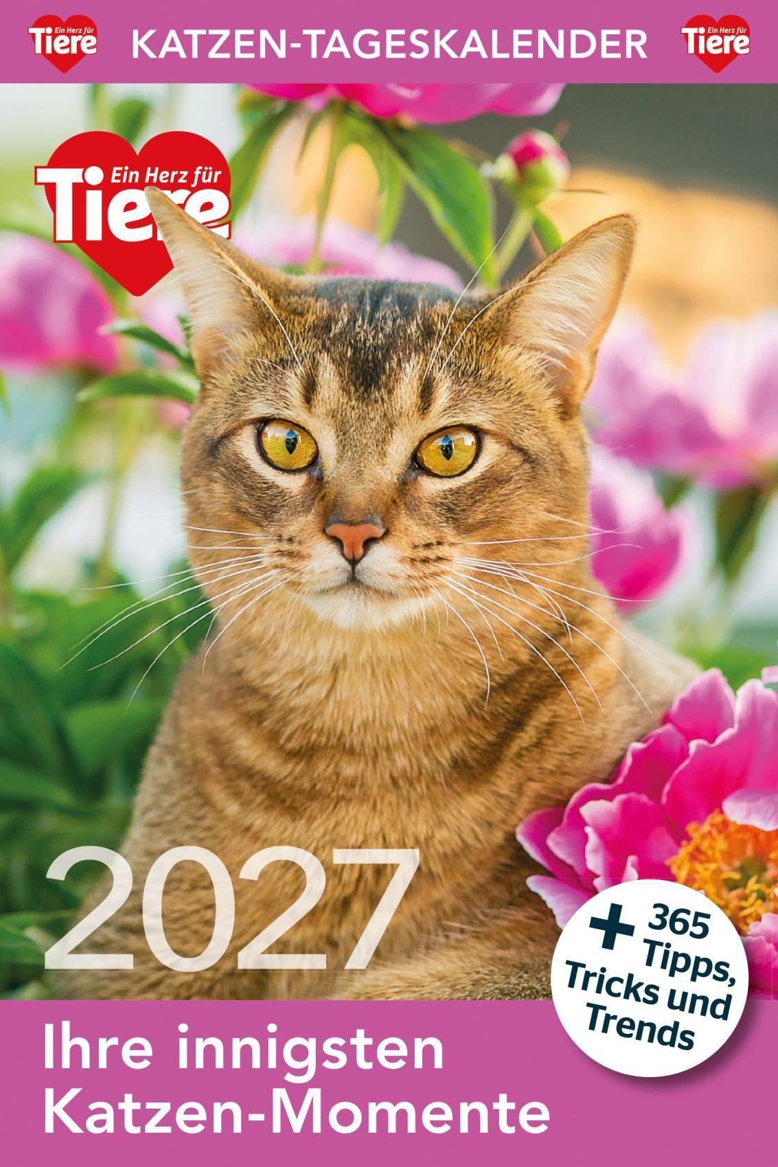 Vorderes Coverbild Katzen Tageskalender 2027