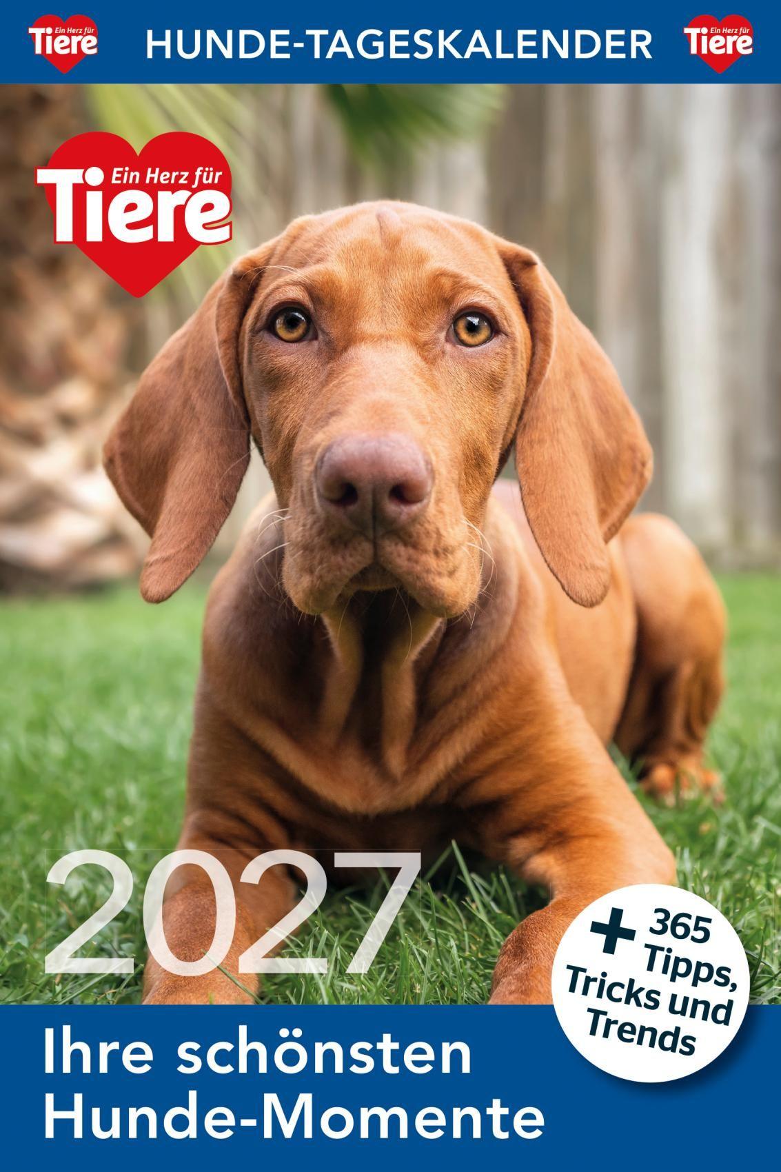 Vorderes Coverbild Hunde Tageskalender 2027