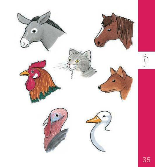 Beispielinhalt (Bild) Langenscheidt OhneWörterBuch