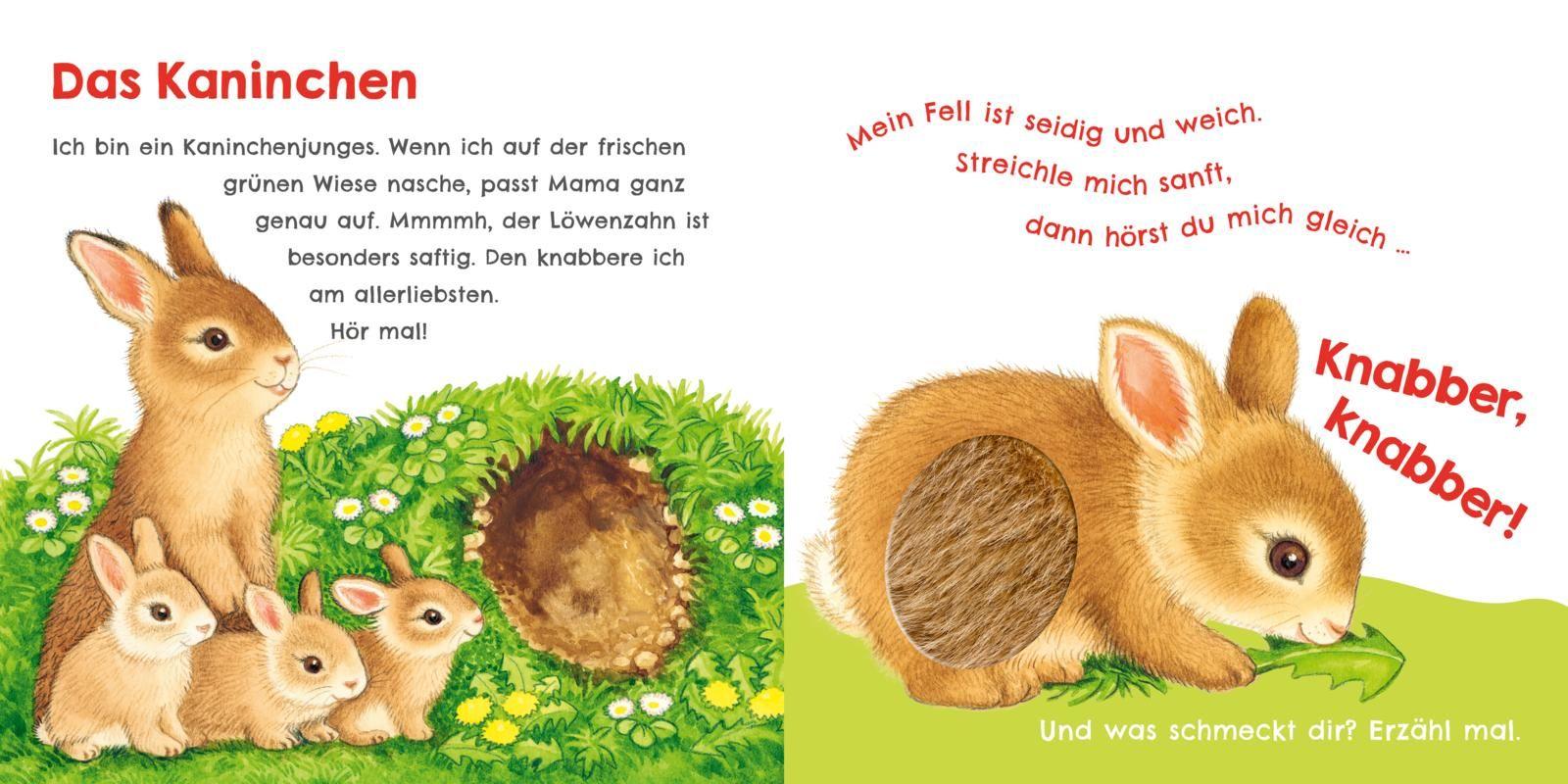 Beispielinhalt (Bild) Hör mal, wie ich knabbern kann (Mein erstes Streichel-Soundbuch 5)