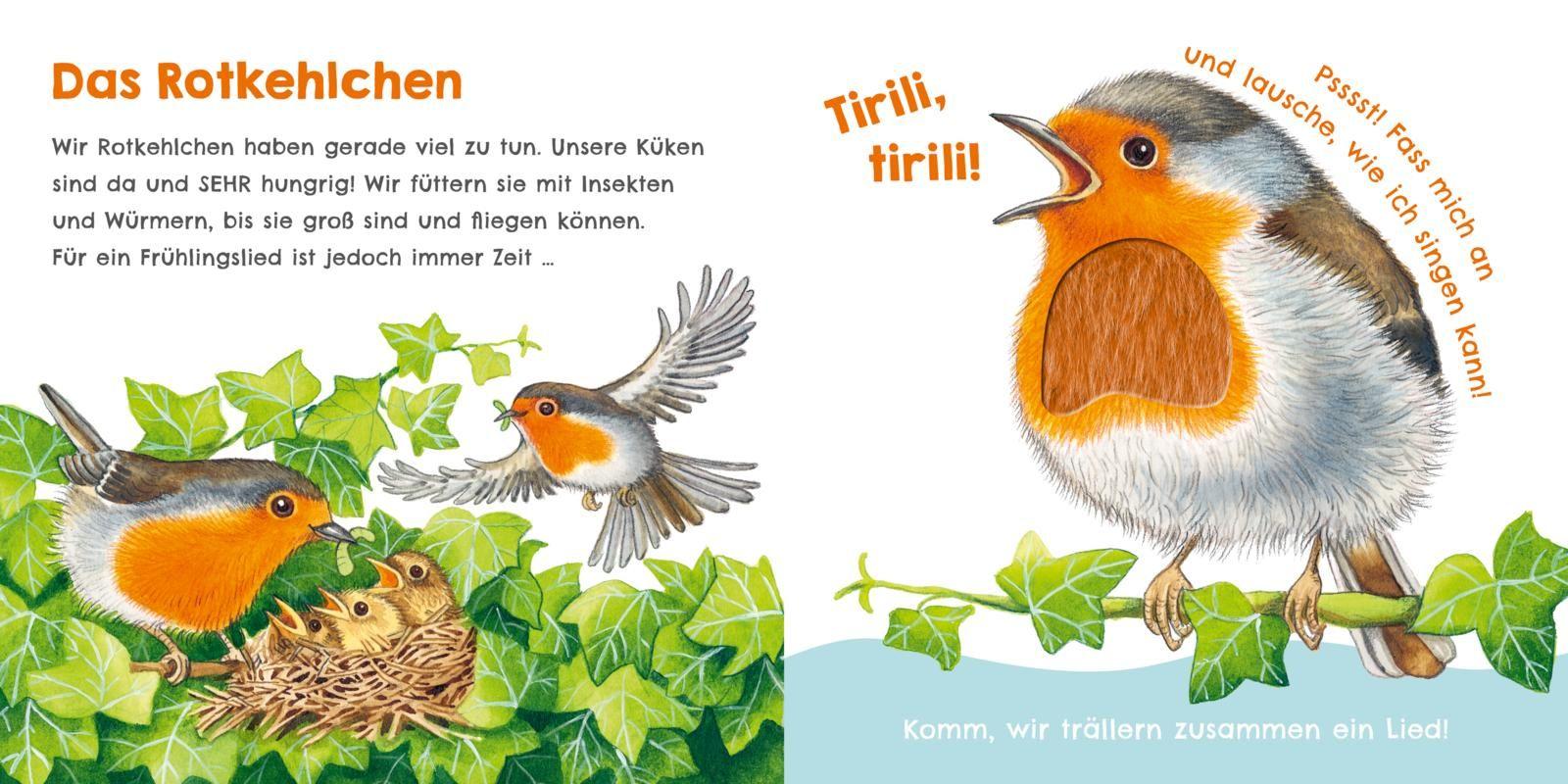Beispielinhalt (Bild) Hör mal, wie ich knabbern kann (Mein erstes Streichel-Soundbuch 5)