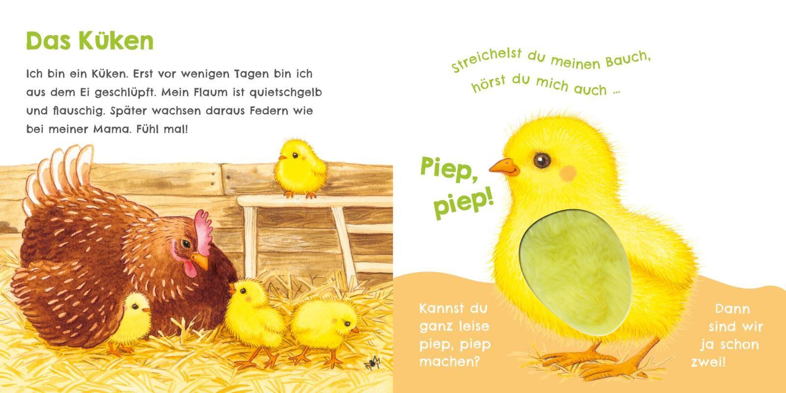 Beispielinhalt (Bild) Hör mal, wie ich knabbern kann (Mein erstes Streichel-Soundbuch 5)