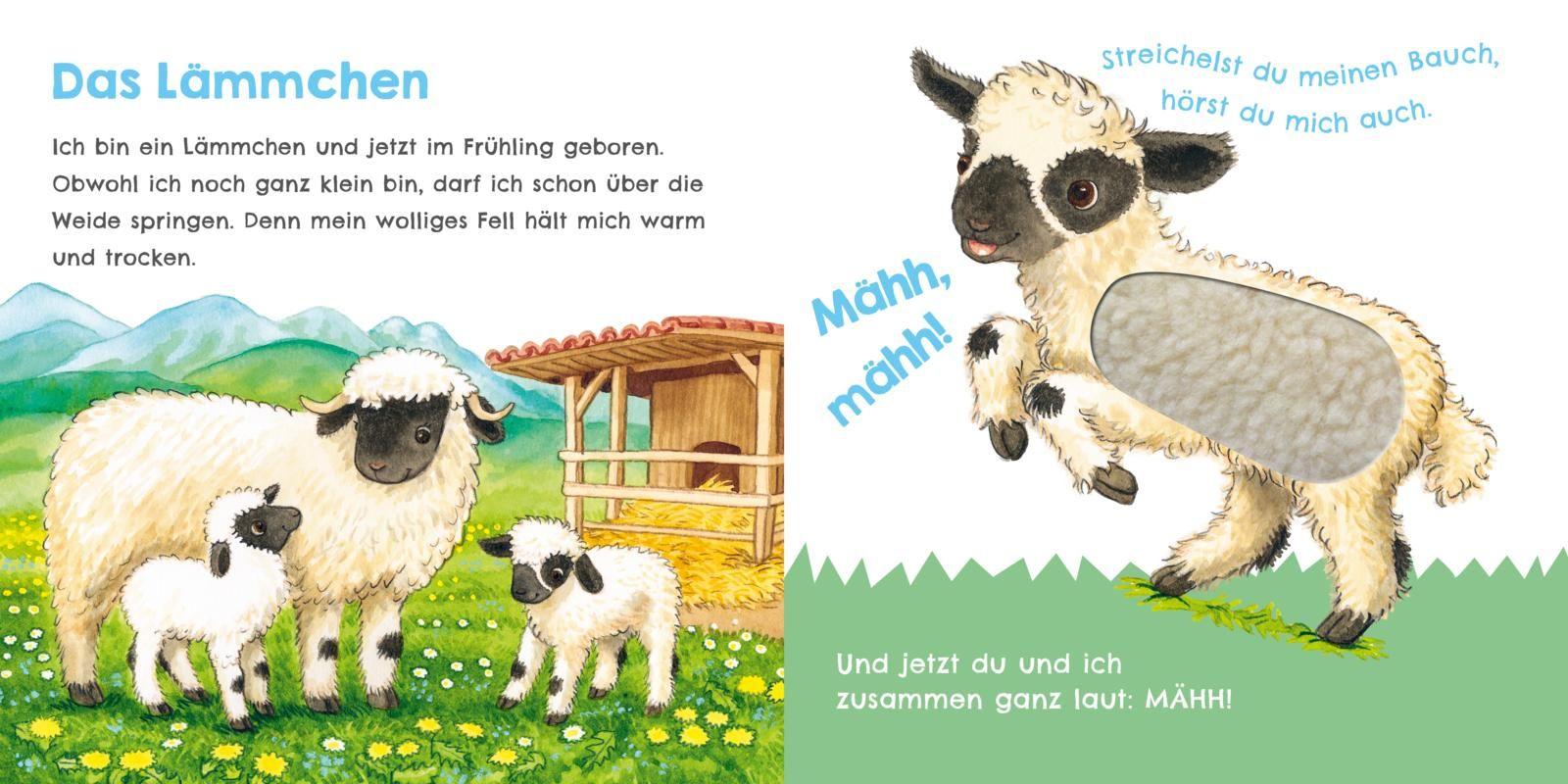 Beispielinhalt (Bild) Hör mal, wie ich knabbern kann (Mein erstes Streichel-Soundbuch 5)