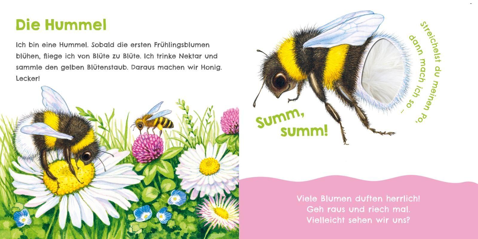 Beispielinhalt (Bild) Hör mal, wie ich knabbern kann (Mein erstes Streichel-Soundbuch 5)