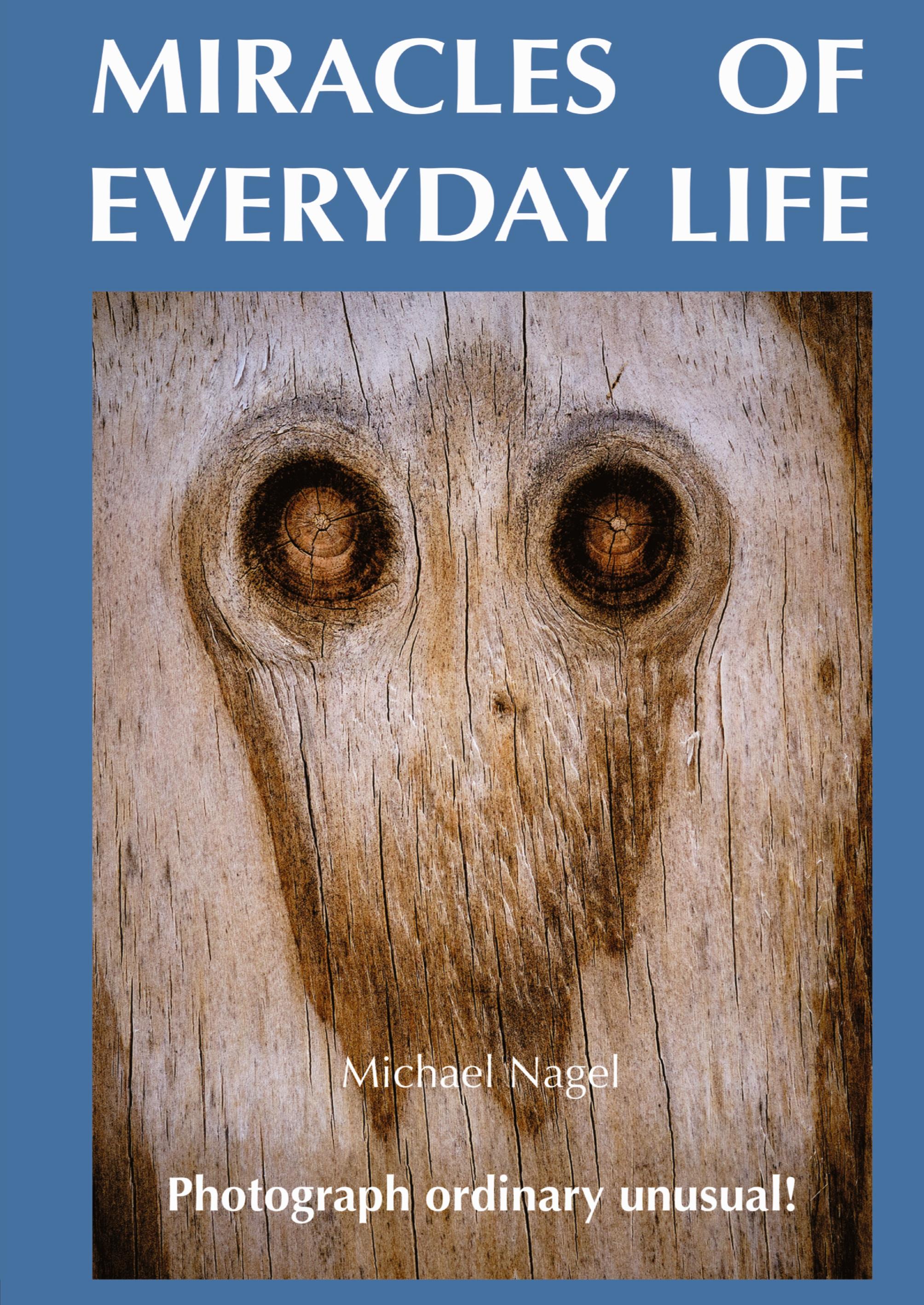 Vorderes Coverbild MIRACLES OF EVERYDAY LIFE