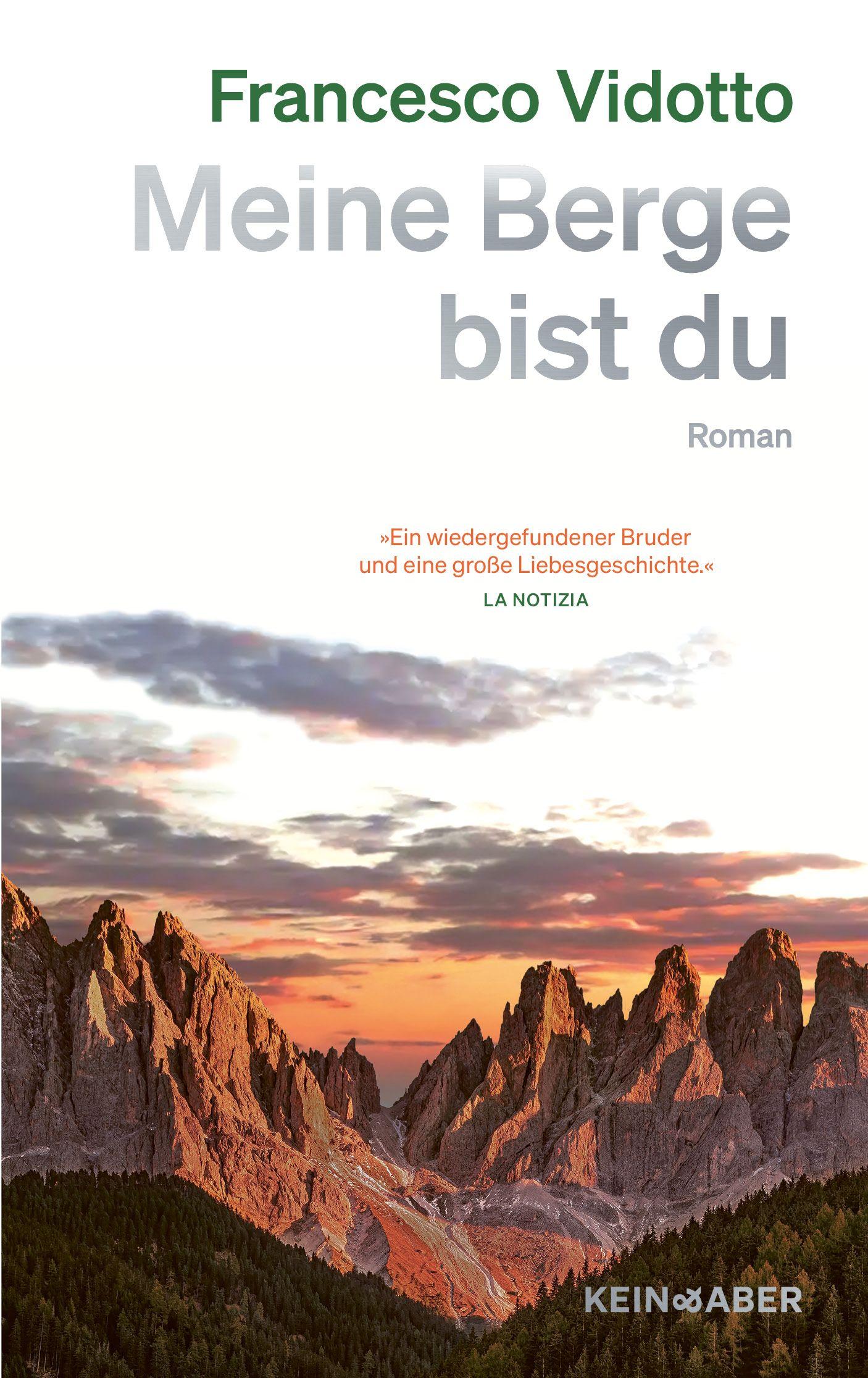 Vorderes Coverbild Meine Berge bist du