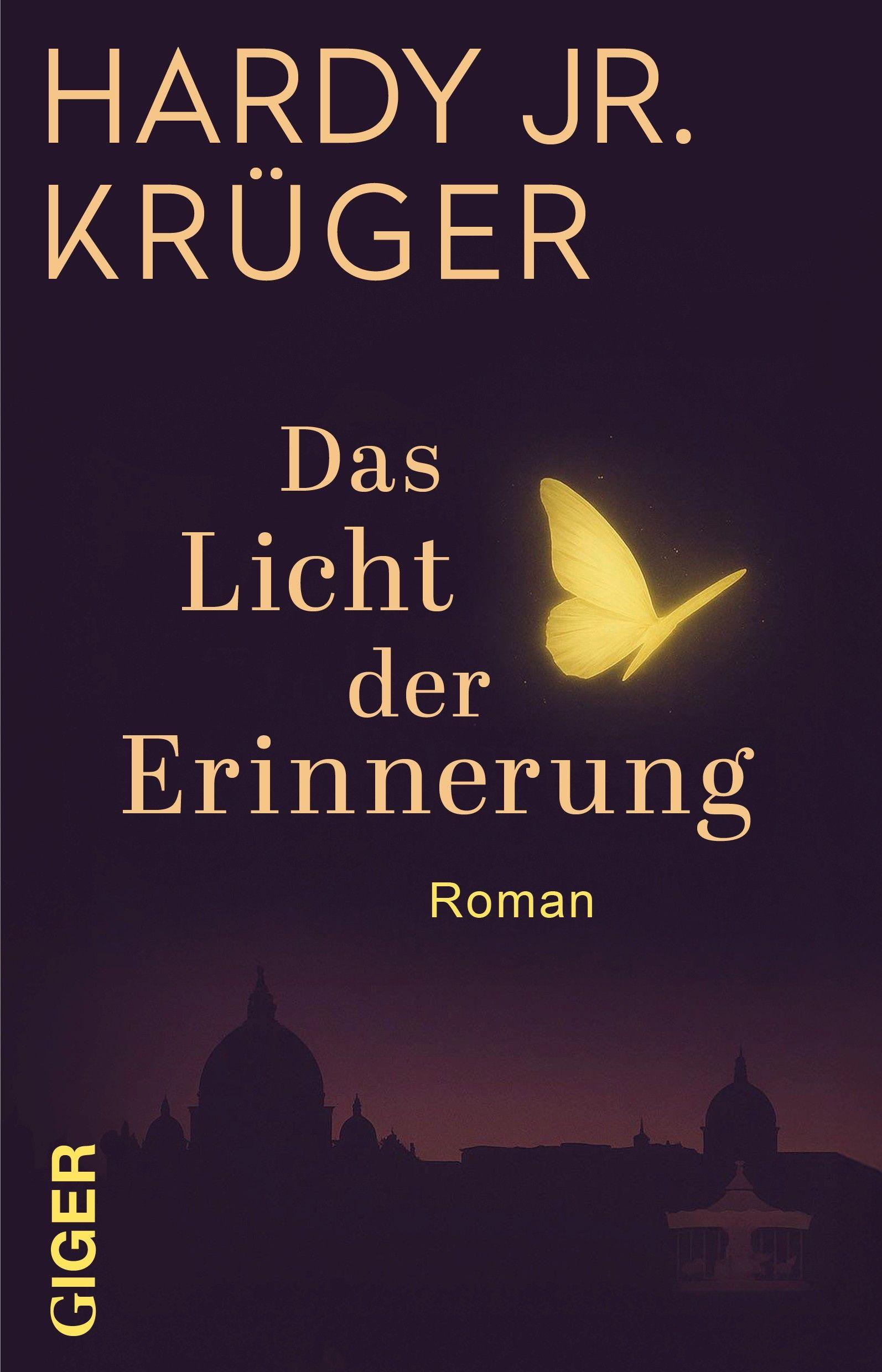 Vorderes Coverbild Das Licht der Erinnerung