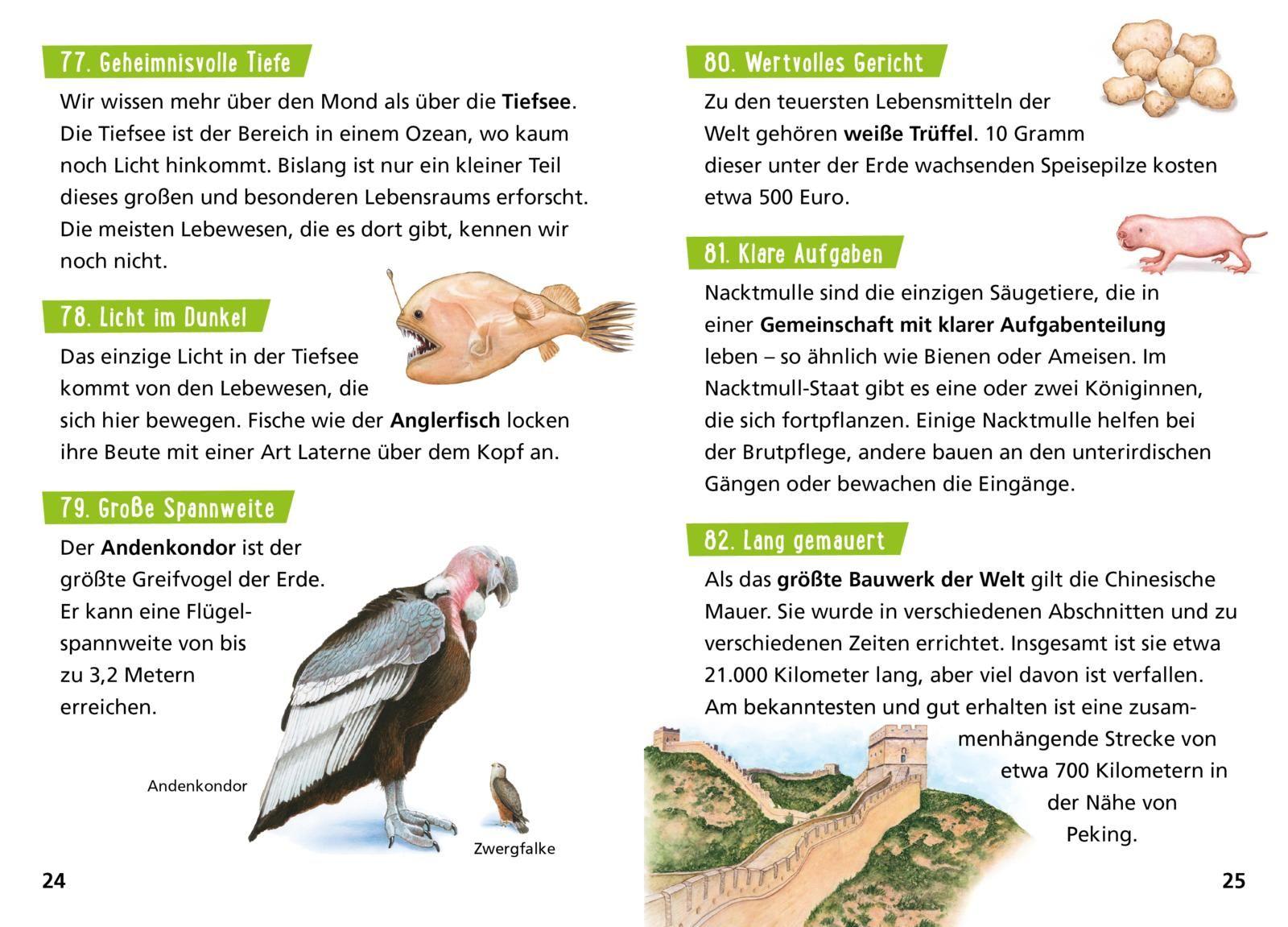 Beispielinhalt (Bild) Pixi Wissen 57: VE 5: Die Erde. 100 erstaunliche Tatsachen