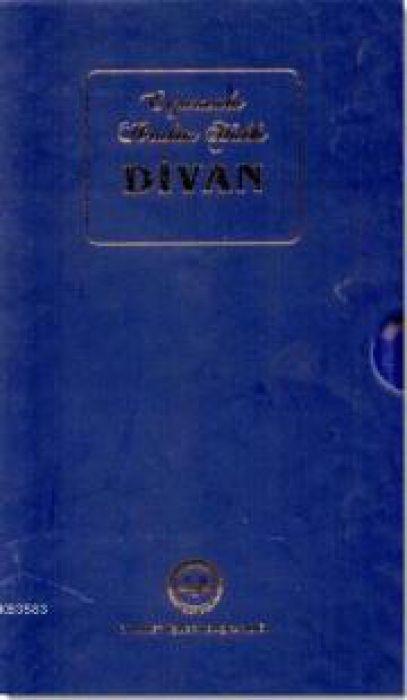 Vorderes Coverbild Erzurumlu Ibrahim Hakki - Divan Cep Boy