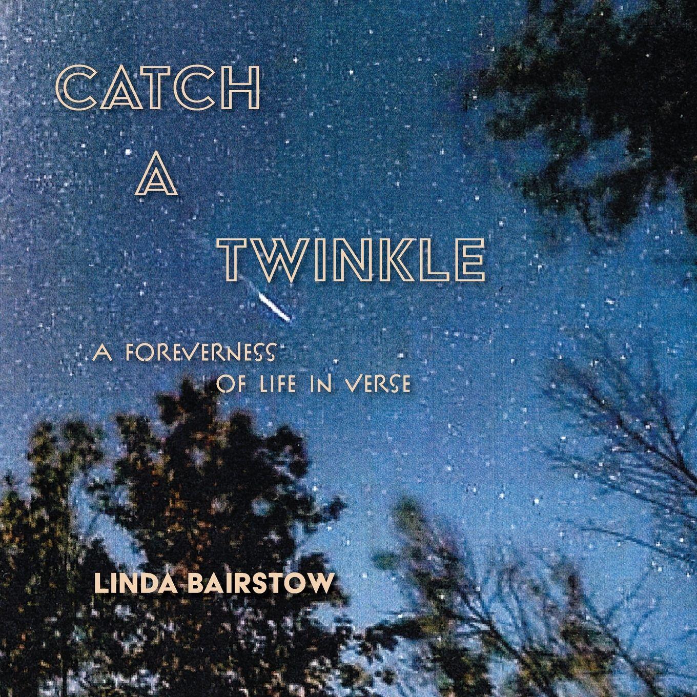 Vorderes Coverbild Catch a Twinkle